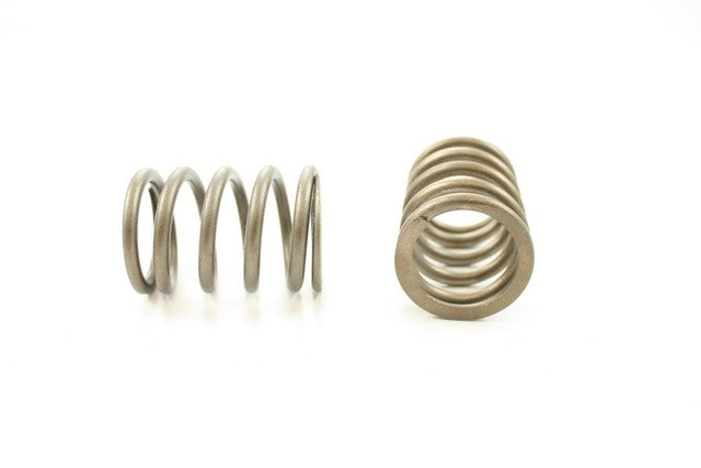 Engine Valve Spring Pioneer RV-814