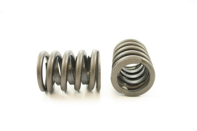 Engine Valve Spring Pioneer RV-815-X