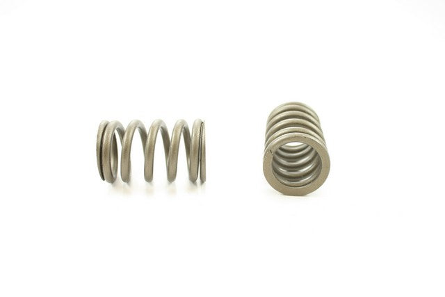 Engine Valve Spring Pioneer RV-867