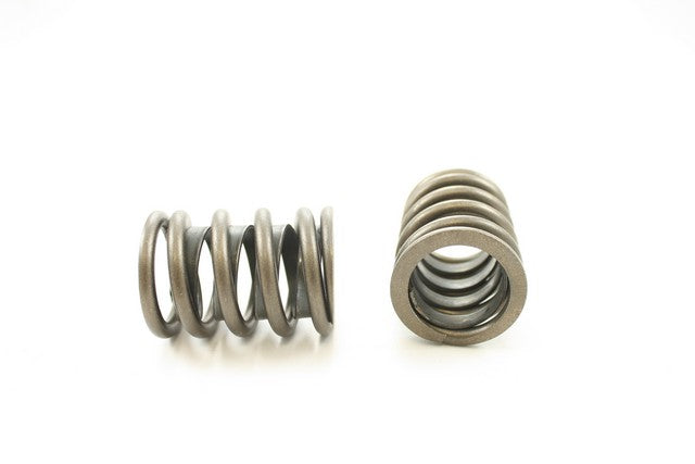 Engine Valve Spring Pioneer RV-884-X