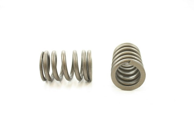 Engine Valve Spring Pioneer RV-886