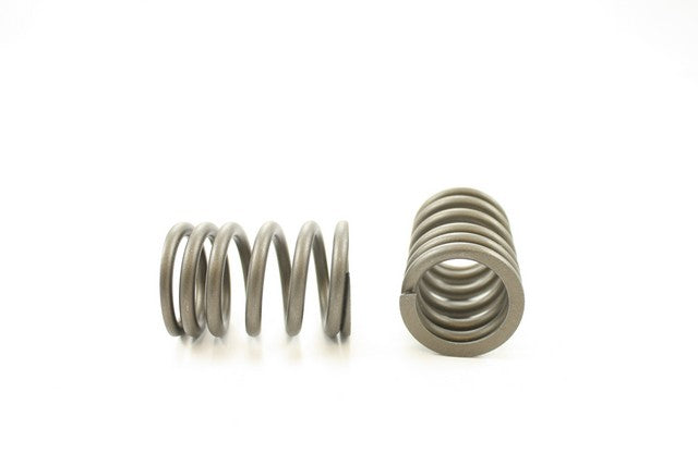 Engine Valve Spring Pioneer RV-906