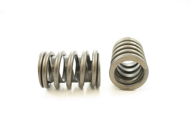 Engine Valve Spring Pioneer RV-909-X