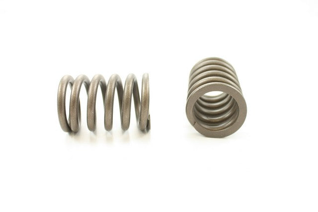 Engine Valve Spring Pioneer RV-991