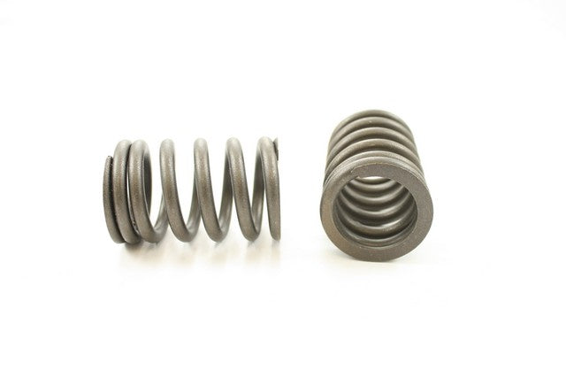 Engine Valve Spring Pioneer RV-999