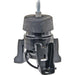 Engine Mount Anchor 10300