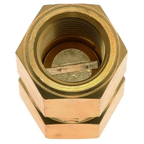 Fuel Pump Check Valve Carter Fuel 169-1002