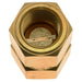 Fuel Pump Check Valve Carter Fuel 169-1002