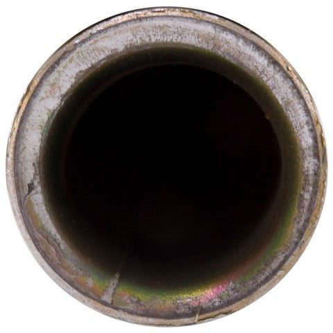 Secondary Air Injection Pump Check Valve WVE 1A3006