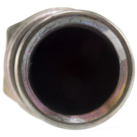 Secondary Air Injection Pump Check Valve WVE 1A3009