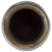 Secondary Air Injection Pump Check Valve WVE 1A3016