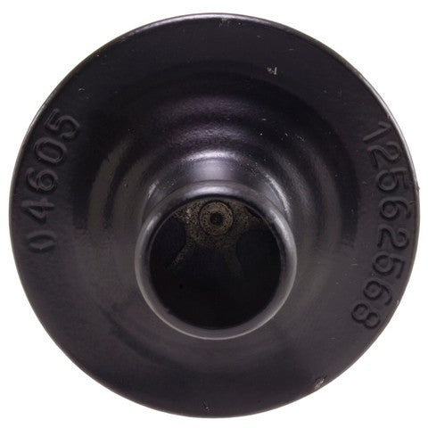 Secondary Air Injection Pump Check Valve WVE 1A3059