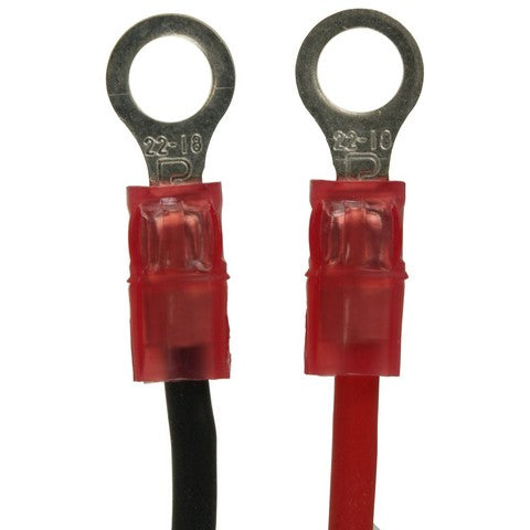 Ignition Conversion Kit WVE 1A4217