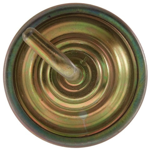 Carburetor Choke Pull-Off WVE 1C1050