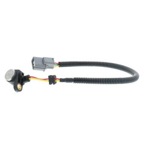 Engine Crankshaft Position Sensor MotoRad 1KR131