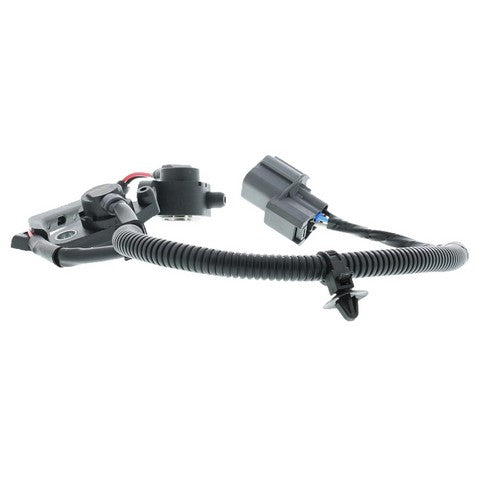 Engine Crankshaft Position Sensor MotoRad 1KR137