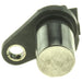 Engine Crankshaft Position Sensor MotoRad 1KR165