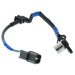 Engine Crankshaft Position Sensor MotoRad 1KR213