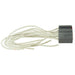 Headlight Dimmer Switch Connector WVE 1P1156
