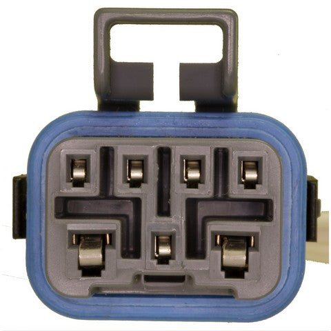 Neutral Safety Switch Connector WVE 1P1186