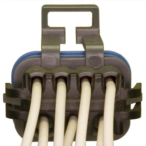 Neutral Safety Switch Connector WVE 1P1186
