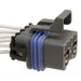 Neutral Safety Switch Connector WVE 1P1186