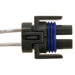 HVAC Clutch Coil Connector WVE 1P1239