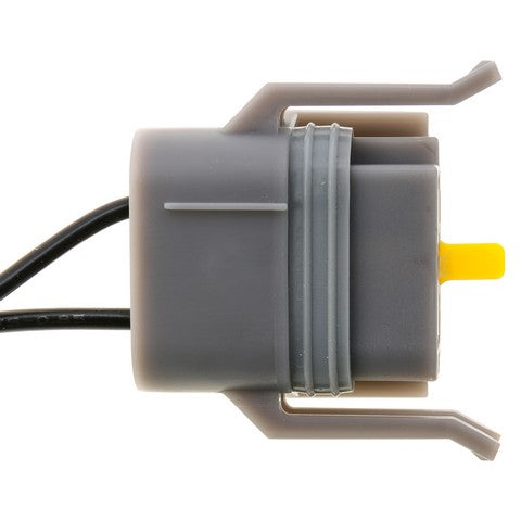 Back Up Light Connector WVE 1P1296