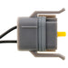 Back Up Light Connector WVE 1P1296