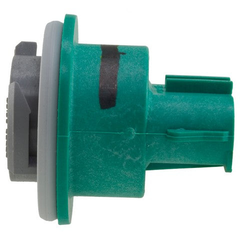 Back Up Light Socket WVE 1P1316