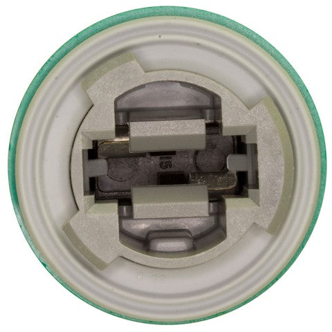 Back Up Light Socket WVE 1P1316