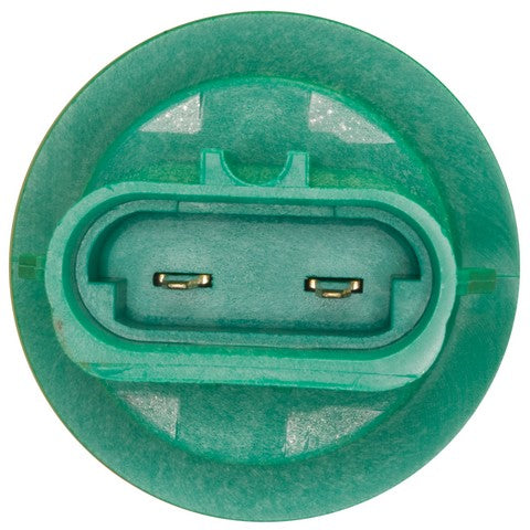 Back Up Light Socket WVE 1P1316