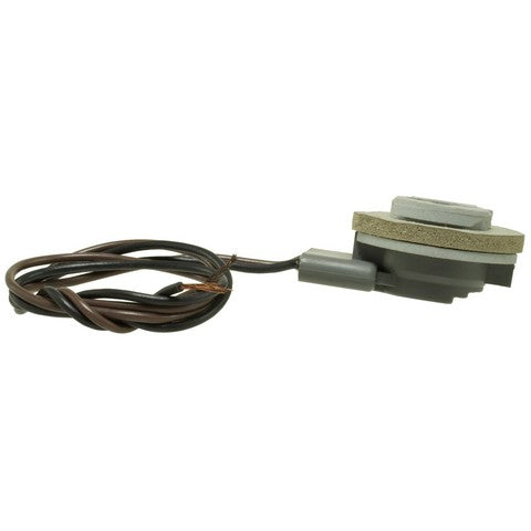 Back Up Light Socket WVE 1P1317