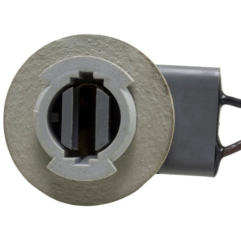 Back Up Light Socket WVE 1P1317