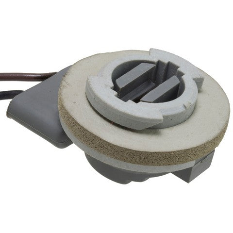 Back Up Light Socket WVE 1P1317