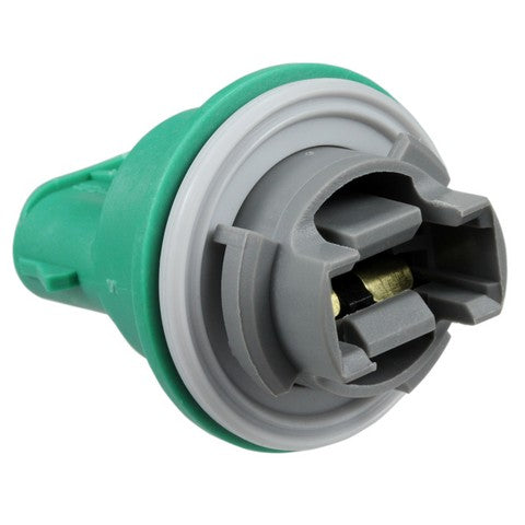 Back Up Light Socket WVE 1P1318