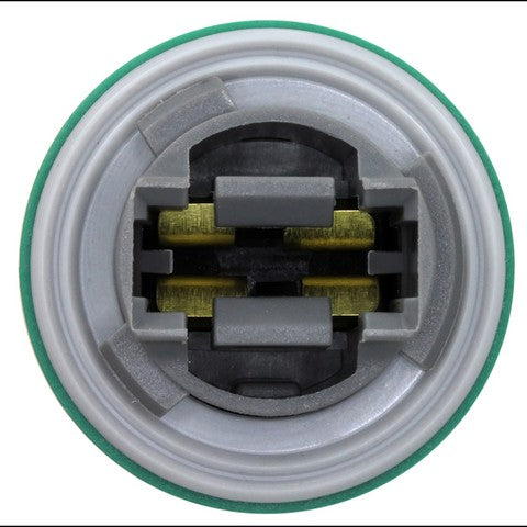 Back Up Light Socket WVE 1P1318