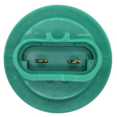 Back Up Light Socket WVE 1P1318