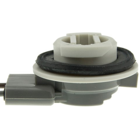 Back Up Light Socket WVE 1P1320