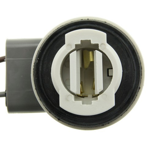 Back Up Light Socket WVE 1P1320