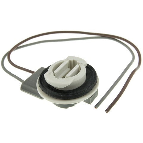 Back Up Light Socket WVE 1P1320