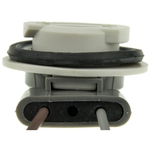 Back Up Light Socket WVE 1P1320