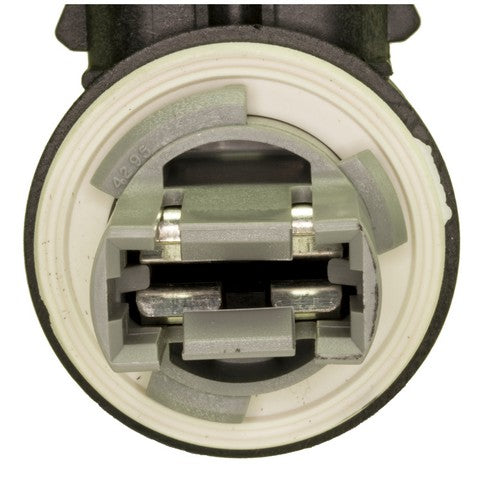 Tail Light Socket WVE 1P1326