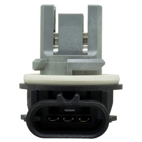 Tail Light Socket WVE 1P1326