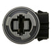 Tail Light Socket WVE 1P1327