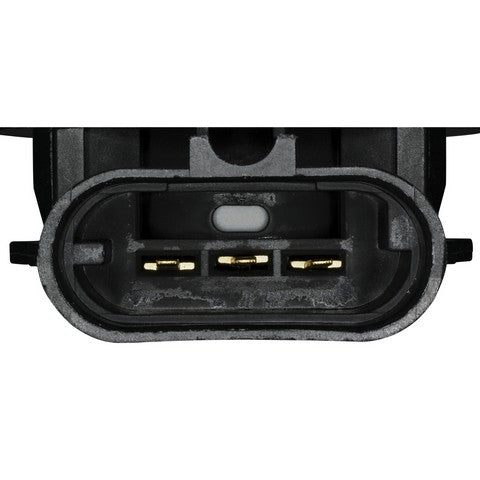 Tail Light Socket WVE 1P1327