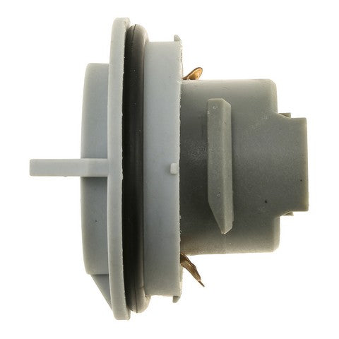 Tail Light Socket WVE 1P1332