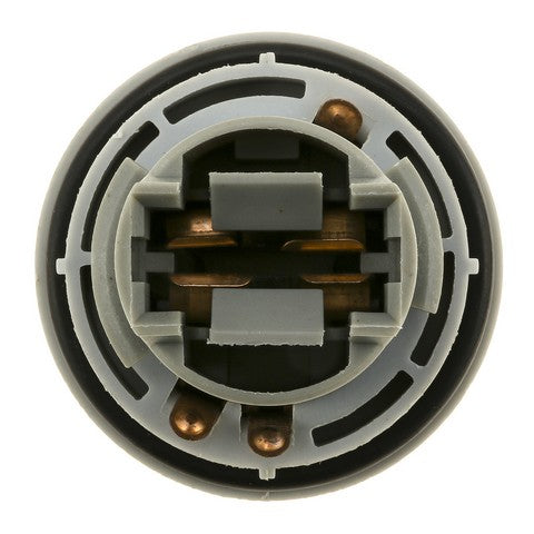 Tail Light Socket WVE 1P1332