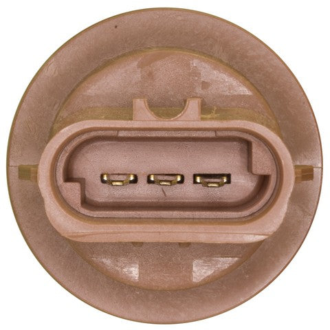 Turn Signal Light Socket WVE 1P1335