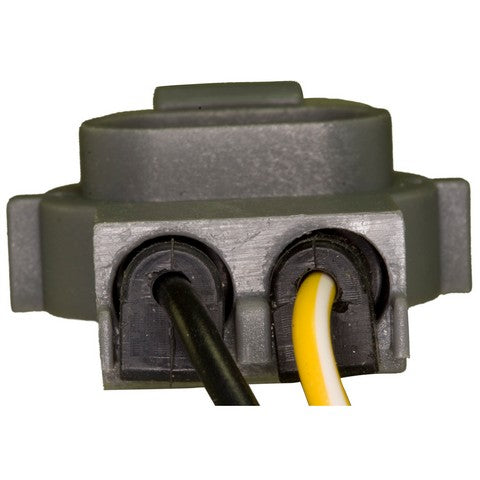 Fuel Tank Sending Unit Wiring Harness WVE 1P1392